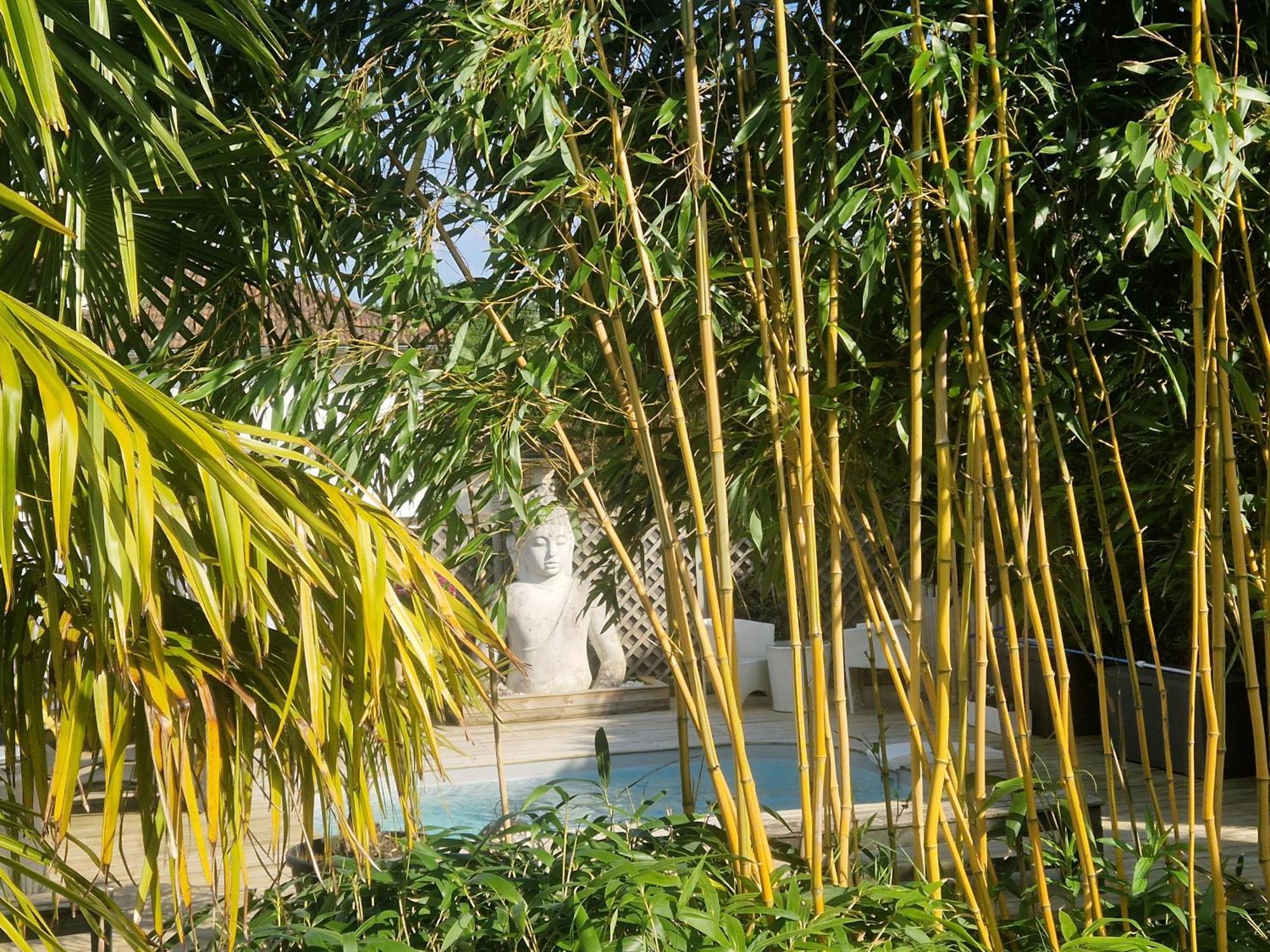 La Serenite Balinaise, Chambre Et Sdb Privee, Jardin , Piscine Et Jacuzzi En Saison, Pres De Chantilly, Parc Asterix Et Cdg Et Paris En 20' Orry-La-Ville Zewnętrze zdjęcie