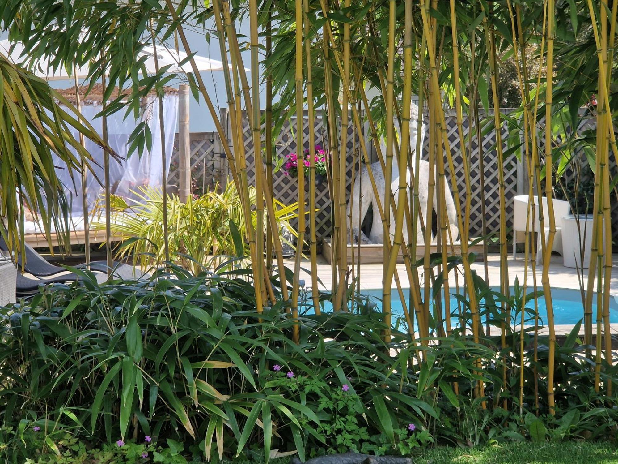 La Serenite Balinaise, Chambre Et Sdb Privee, Jardin , Piscine Et Jacuzzi En Saison, Pres De Chantilly, Parc Asterix Et Cdg Et Paris En 20' Orry-La-Ville Zewnętrze zdjęcie